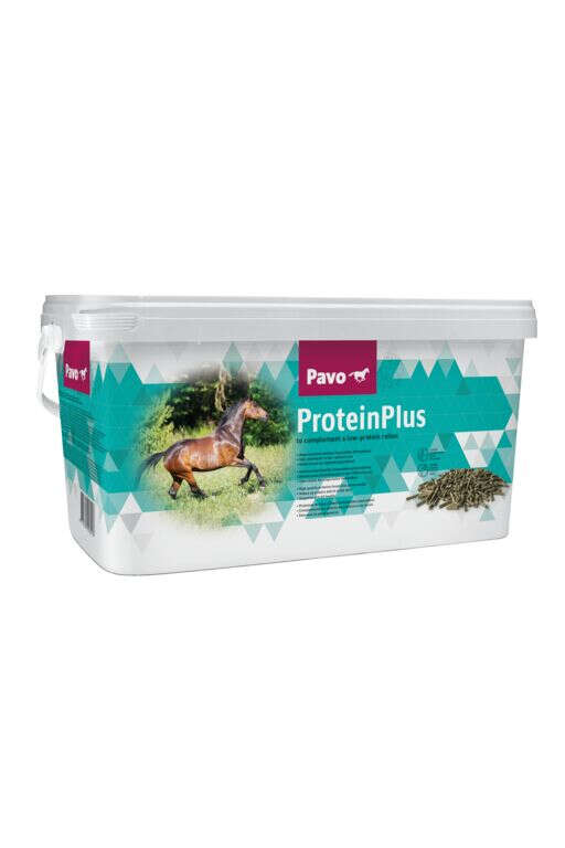 Pavo ProteinPlus